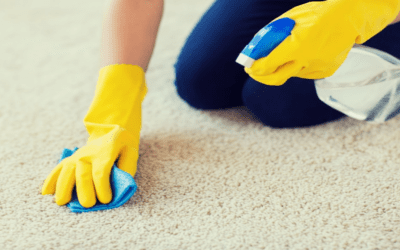 Revitalize Your Home with Expert Carpet Cleaning in Tampa FL